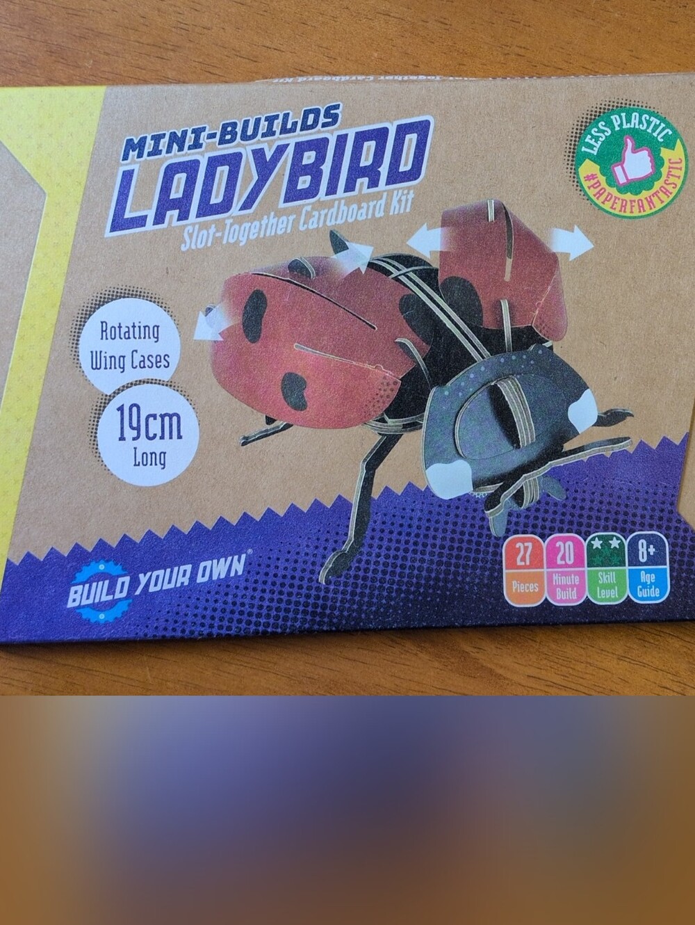 Ladybird Slot-Together 3D Cardboard Toy Kit